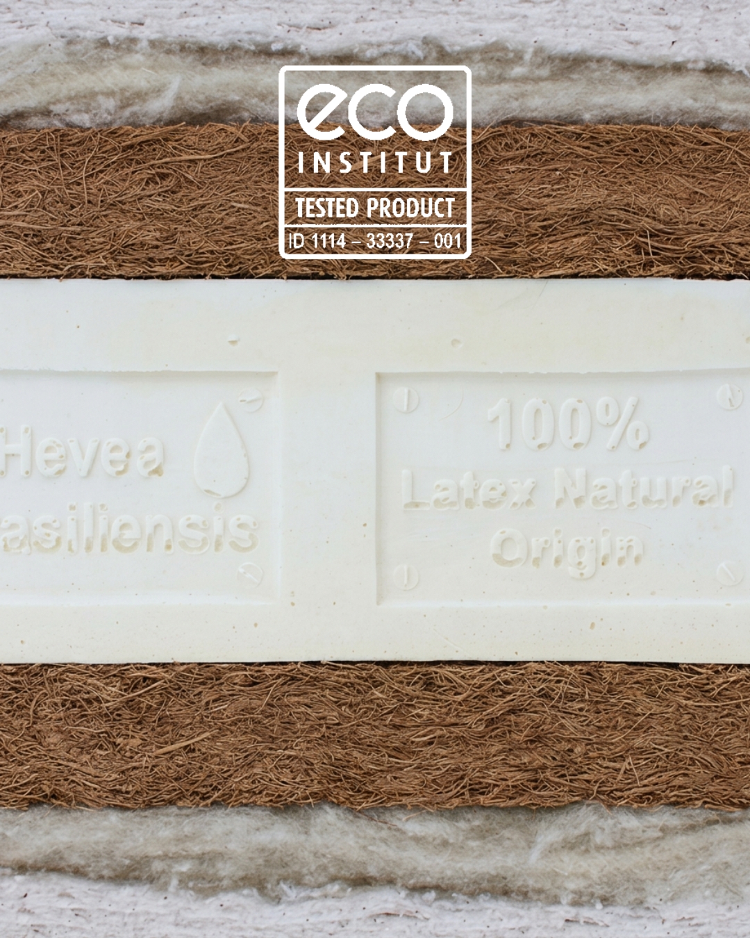 ECO-INSTITUT