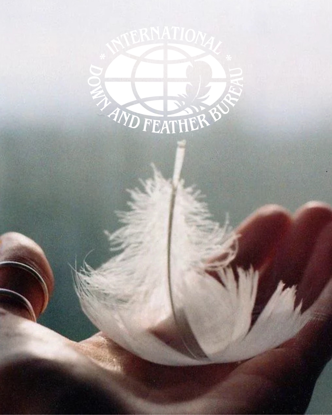 INTERNATIONAL DOWN AND FEATHER BUREAU.