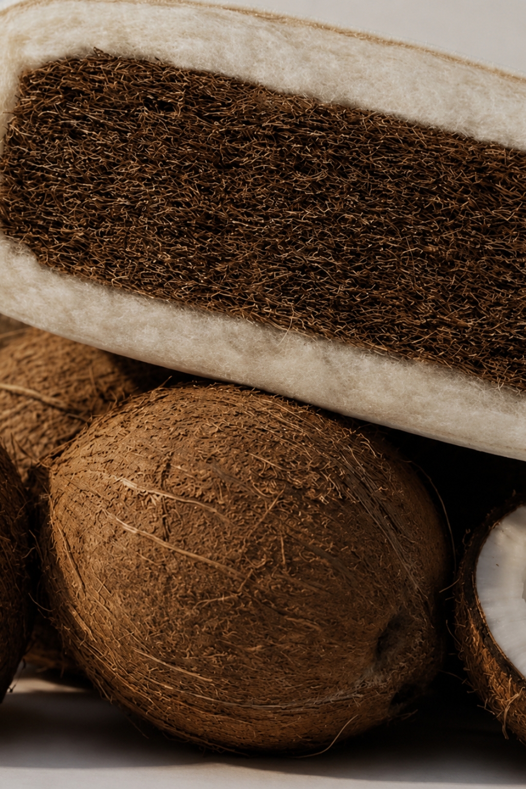 coconut fibres