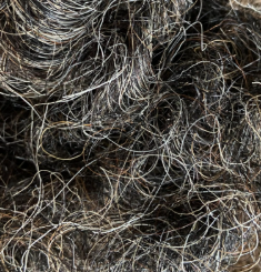 Horsehair