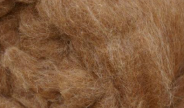 Camel Hair