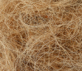 Coconut Fibre