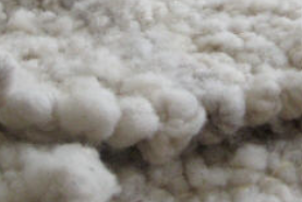 British Wool